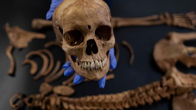 Arkeologlar Polonya mezarl���nda 'vampirleri' ortaya ��kard�