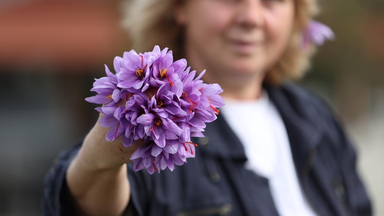 Hem gıda hem kozmetik alanında ürün yapıyor