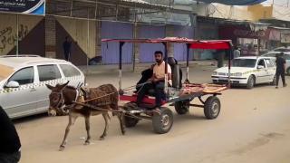 Gazze'de yakıt sıkıntısı nedeniyle eşek arabaları kullanılmaya başlandı