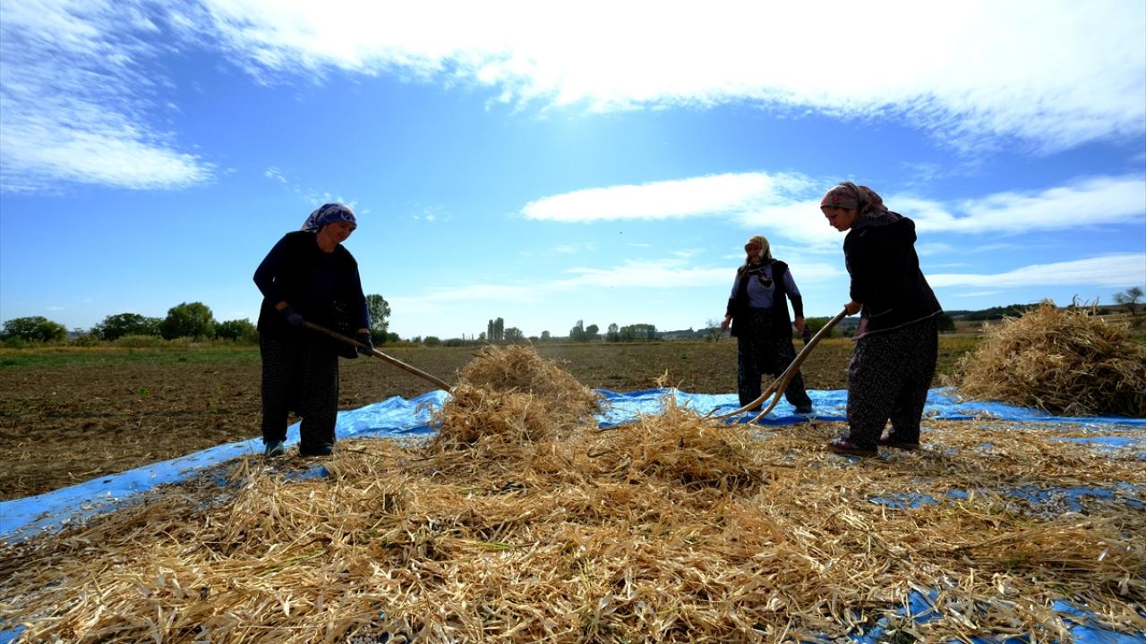 "Çavuşköy fasulyesini yemeyen fasulye yedim demesin"