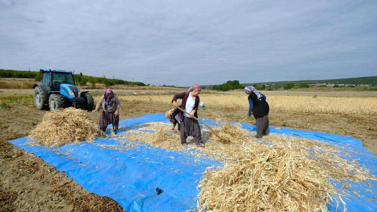 "Verim çok olursa tabii ki mutlu oluyorsun"