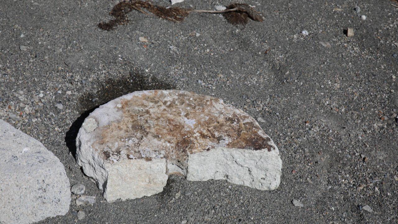 "Kalıntılar ortaya çıkmaya devam ediyor"