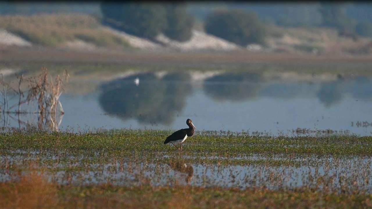 "Burada onu görmek mutluluk verici"