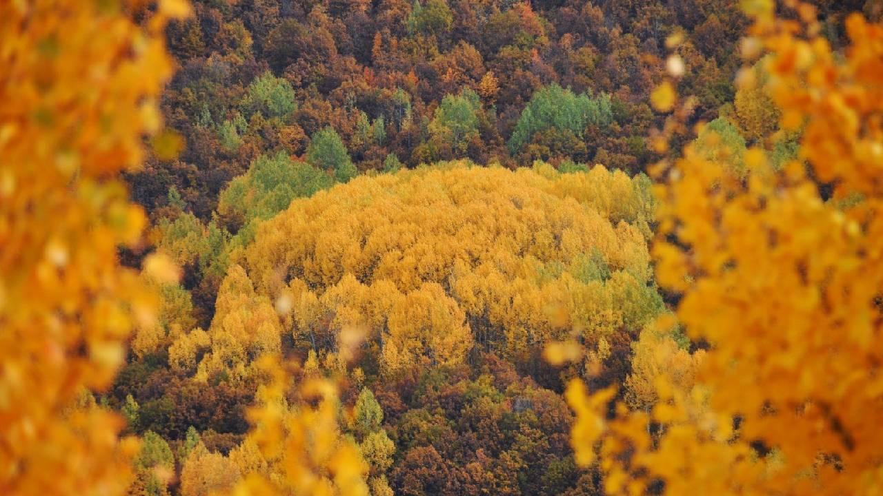 Tunceli’de sonbaharın görsel şöleni