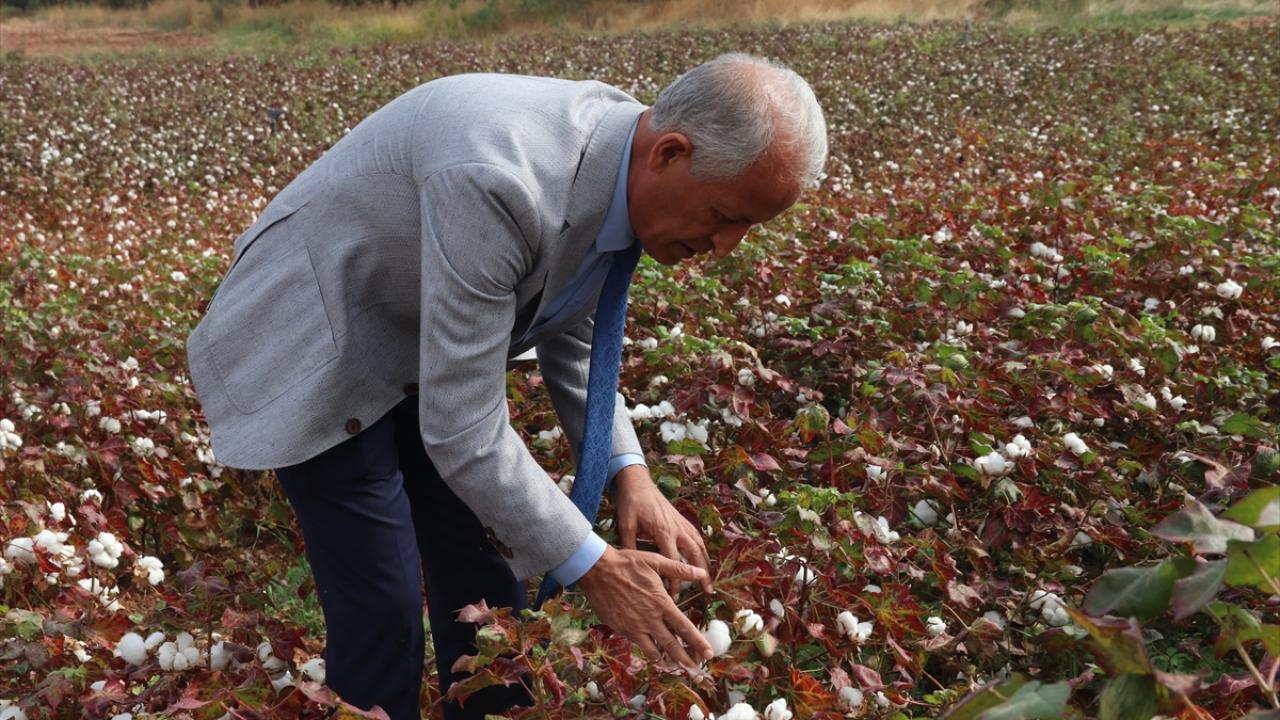 "Ürün deseni sulamayla arttı"