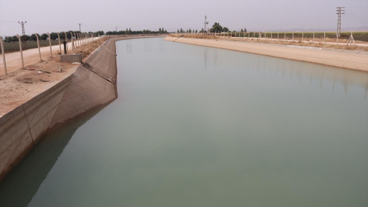 GAP, çiftçilerin gelirini katladı