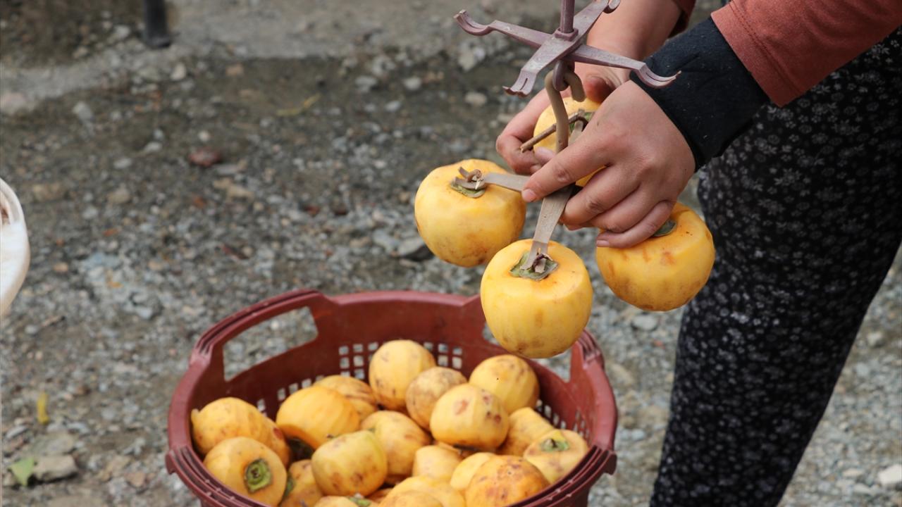 Üreticiler Almanya`dan bu sene 60 ton sipariş aldı