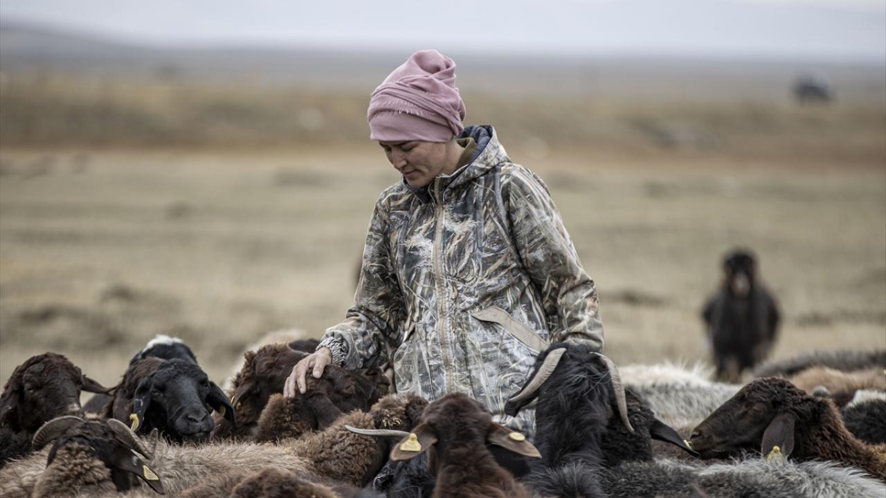 Çobanlığı da kendisi yapıyor