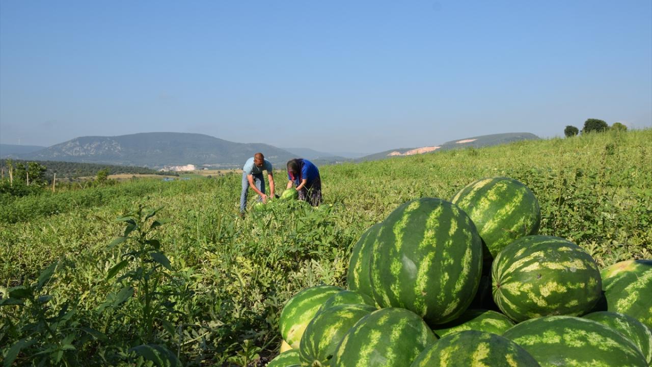 "Tescillenebilecek 35 ürünümüz şu an sırada"