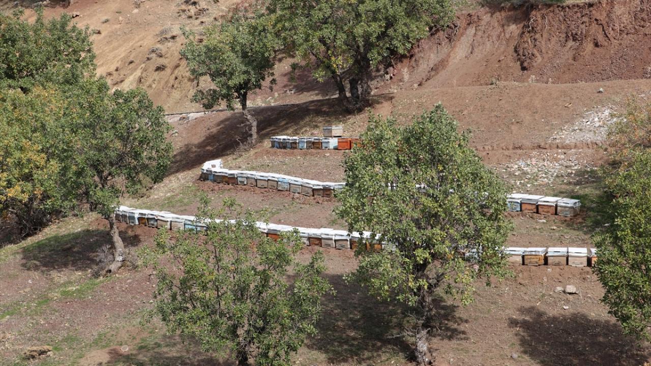 "Sason balı çok kıymetli ve katma değerli"