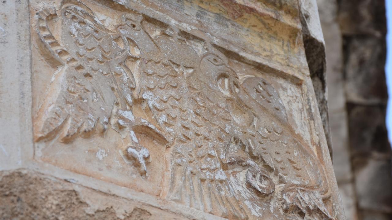 Keykubat`ın haberci kuşları olabilir