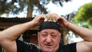 Kedi sevgisi müteahhitlerin tekliflerine "dur" dedirtti