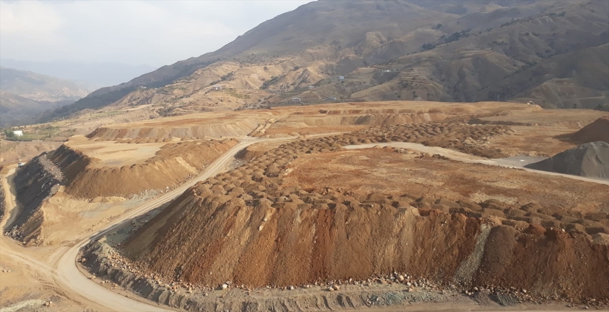 Ekonomik, ekolojik ve estetik bitkiler önem taşıyor