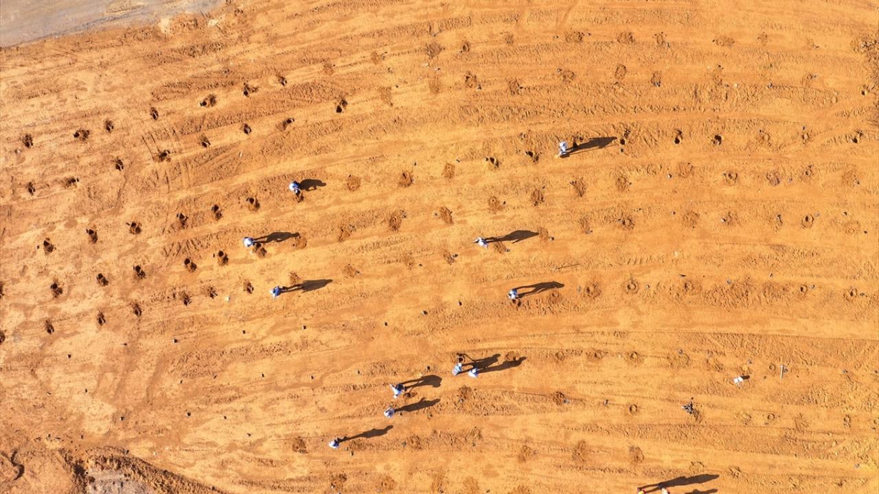 Arazi ıslahında düşük maliyetli organik atıklar kullanılıyor