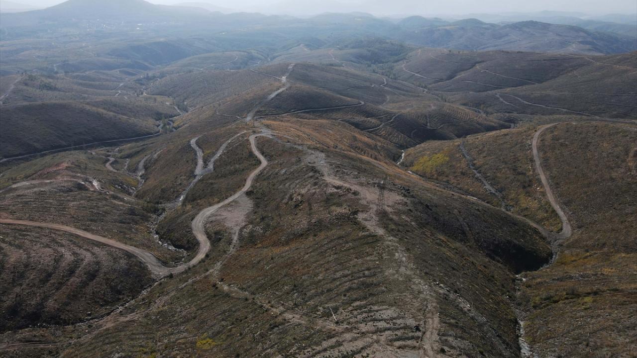 Ağaçlandırmada yaklaşık 20 bin kişi çalıştı