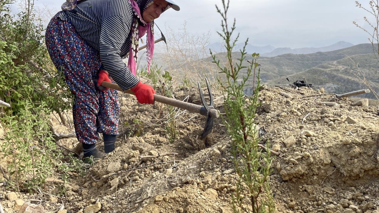 Yanan sarp, kayalık alanlara 85 bin ton tohum atıldı