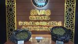 Sivas'ta uyuşturucu operasyonunda bir şüpheli tutuklandı