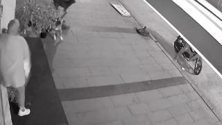 Dükkanını açan kadına sokak köpekleri saldırdı