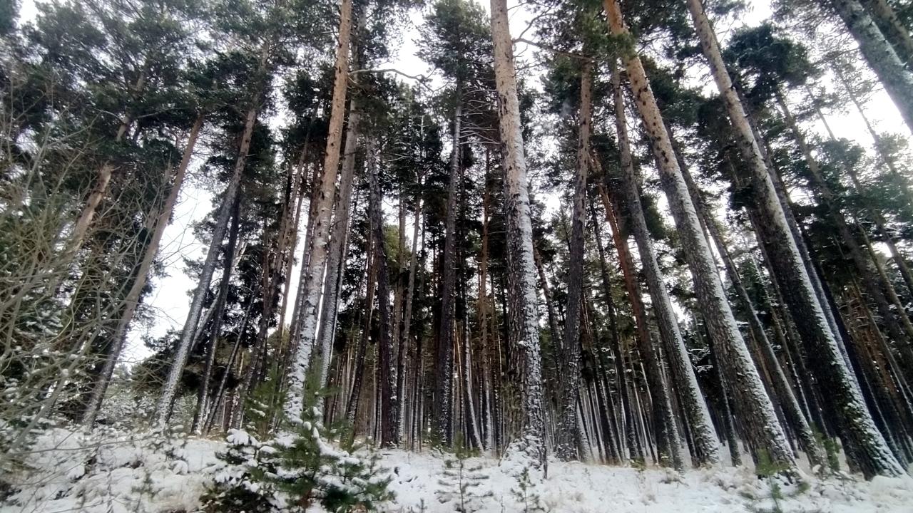Tüm iller teyakkuz halinde