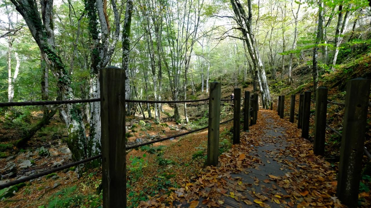 Mağaranın bir bölümü, yarasaların üremesi için belirli dönemlerde ziyaretçilere kapatılıyor