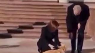 Moldova Cumhurbaşkanı'nın köpeği Avusturya Cumhurbaşkanı'nın elini ısırdı