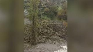 Şırnak'ta sağanak ve sis etkisi devam ediyor