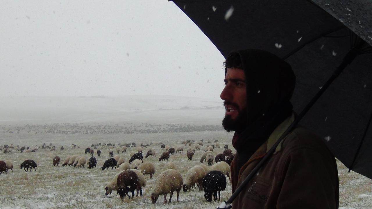 “Yolculuğumuz 20 gün sürüyor”