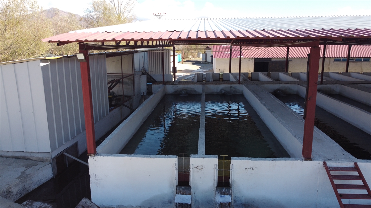 "Kapasite artırımı hedefleniyor"