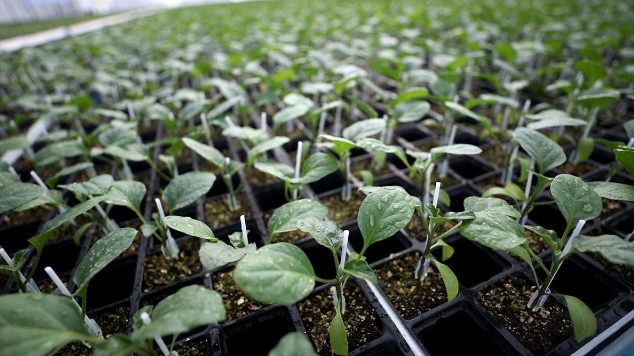 "Elektrik giderleri maliyetlerimiz açısından son derece önemli"