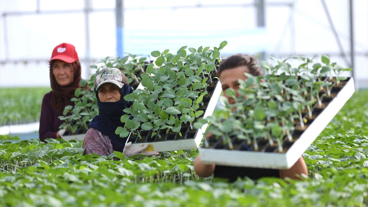 "GES, bizim olmazsa olmazımızdı"