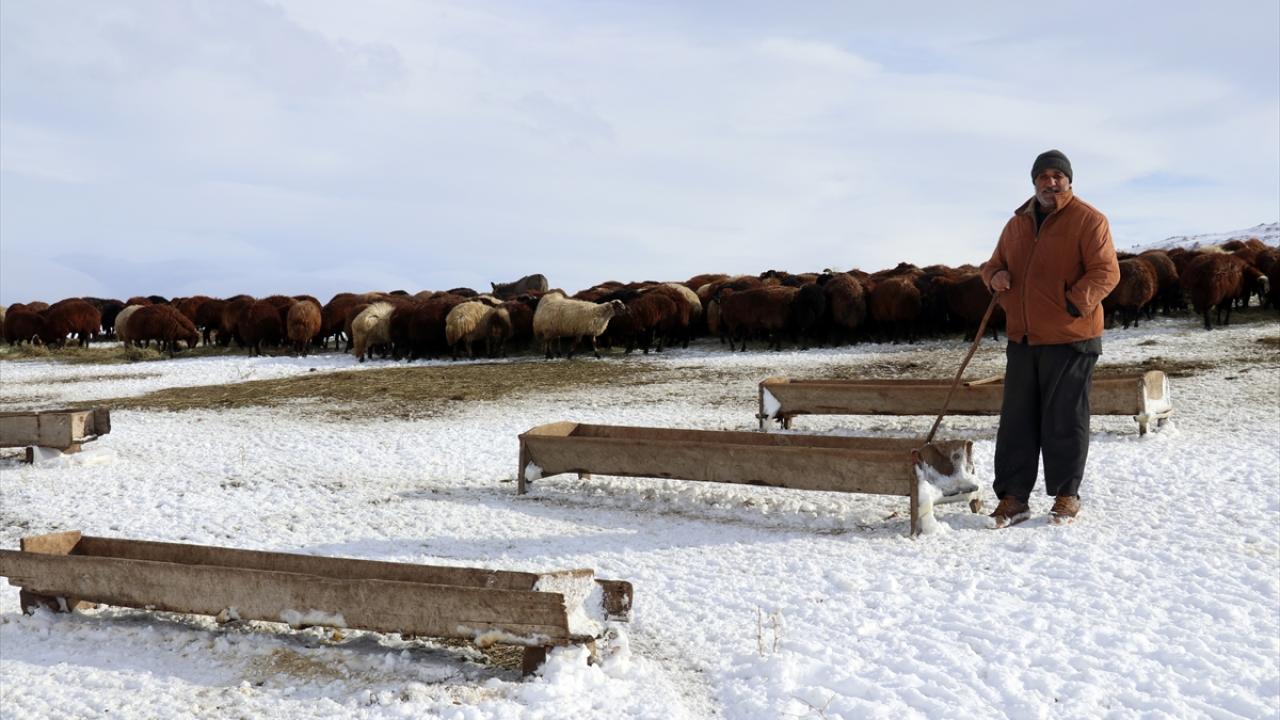 "Bu sene kış erken geldi, 6 ay kar altında yaşayacağız"