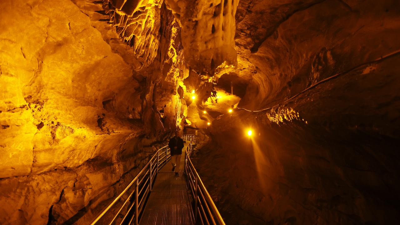 "Ziyaretçi potansiyelimiz yüzde 10 arttı"