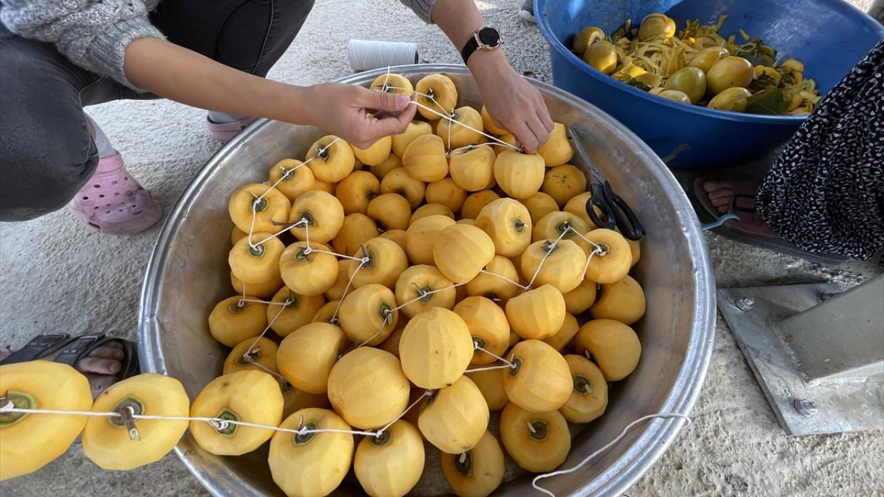 "Ev tipi kurutma demonstrasyonları kurduk"