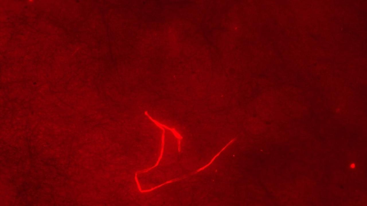 "Çalışmaları vatandaşların katılımıyla gerçekleştirdik"