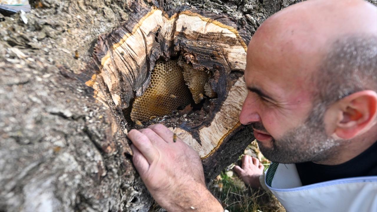 Çok değerli ve özel bir bal"