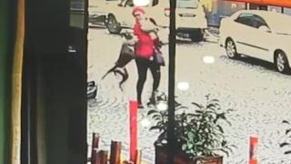 Yasaklı ırk köpek, kadına ve kucağındaki köpeğe böyle saldırdı