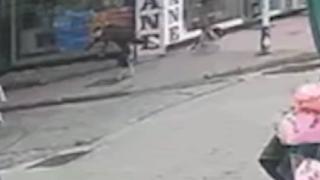 Köpekten kaçan çocuk arabanın altında kalıyordu: O anlar kamerada