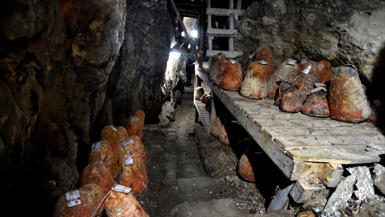 "Mağaranın en önemli özelliklerinden biri flora yapısıdır"