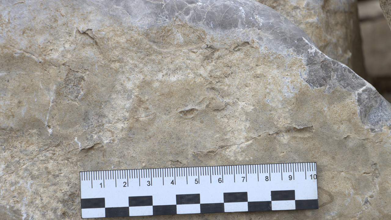 İŞTE KURGANDAKİ KAYA RESİMLERİ