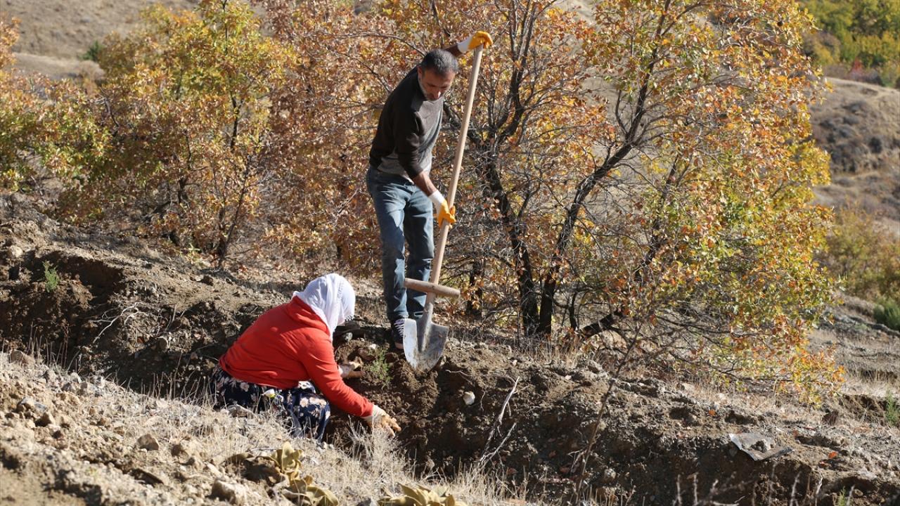 "Diktiğimiz fidanlar ülkemizin yeşile doyması için ciddi çalışmalar"