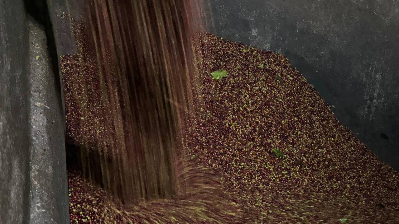 Etiyopyalılar kahveyi toprak testide ve közde demliyor