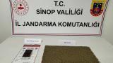 Sinop'ta uyuşturucu operasyonu: 2 gözaltı