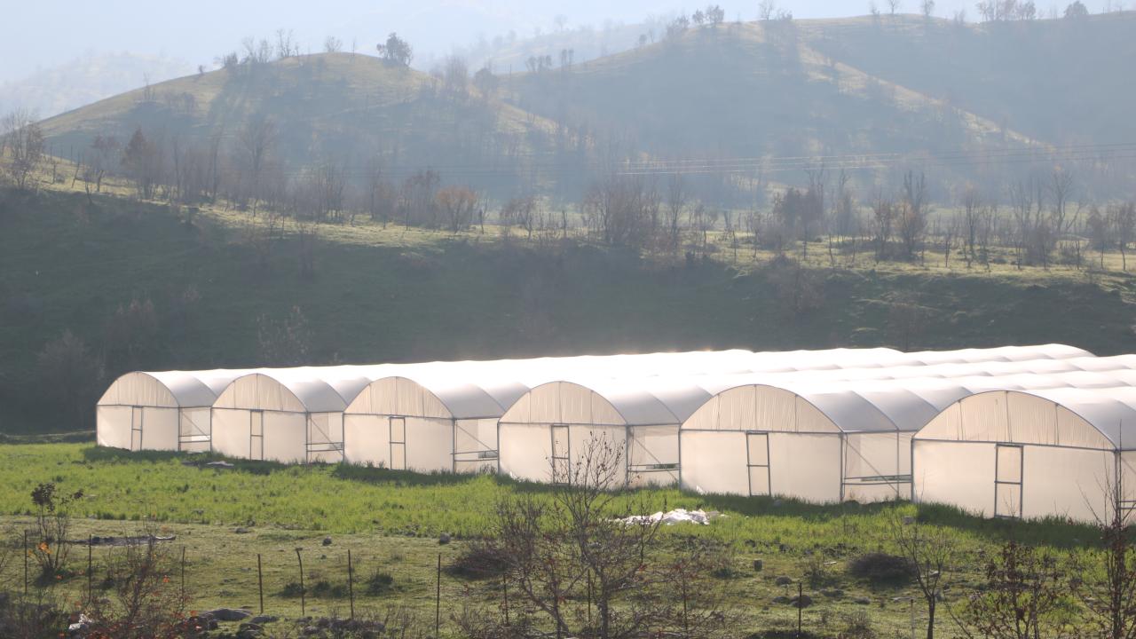 "İyi bir gelir elde ediyoruz"