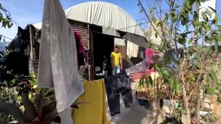 Yerinden edilmiş Gazzeliler fidanlığa sığınıyor: Ağaçlar bize geleceğe dair umut veriyor