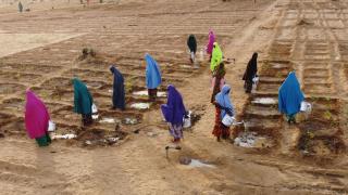 TİKA, Nijer’de tarımsal üretim bahçesi kurdu