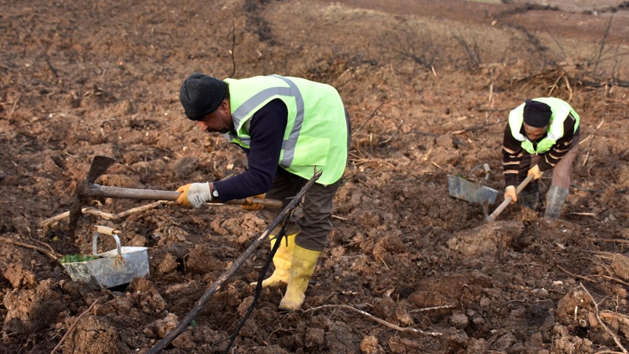 76 yangında 395 hektar ormanlık alanda zarar oluştu