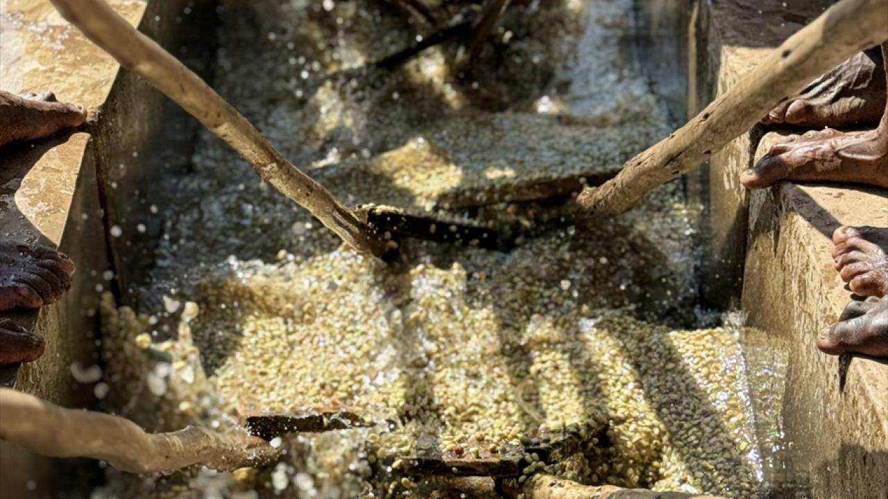 "Etiyopya kahvesini, Türk kahvesiyle özdeşleştirmeye çalışıyorum"