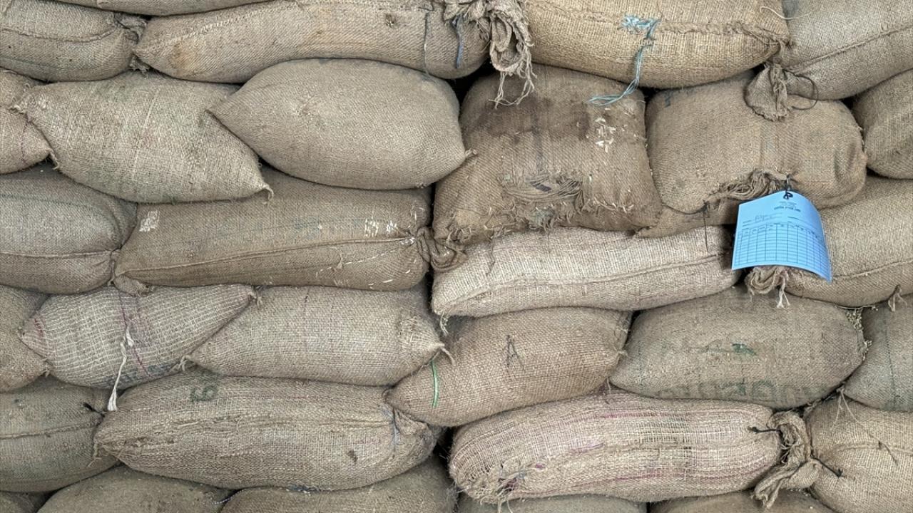 "Etiyopya kahvenin ana vatanı"