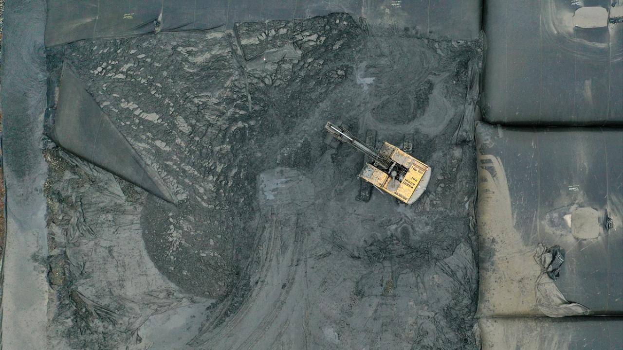 "Biyoçeşitlilğin geri kazanılmasını hedefliyoruz"