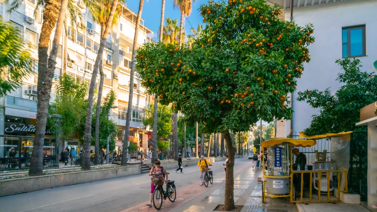 Fotoğraf: Ali Çilesizoğlu
